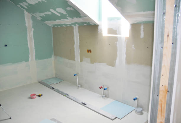 Best Black Mold Removal  in Marianne, PA